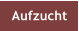 Aufzucht